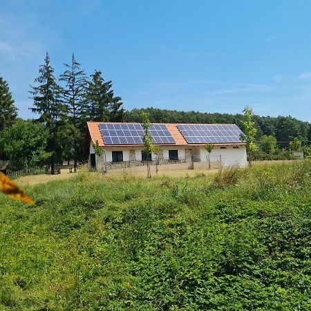Patakmalom Vendégház Dobronte Exterior foto